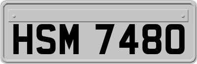 HSM7480