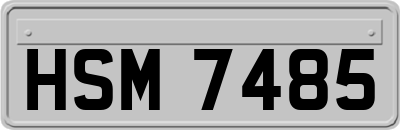 HSM7485
