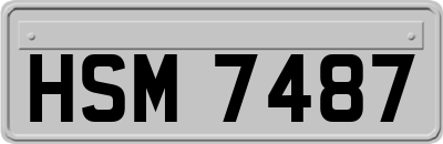 HSM7487