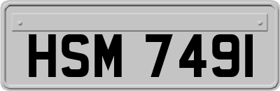 HSM7491