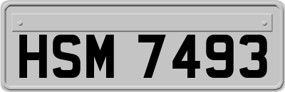 HSM7493