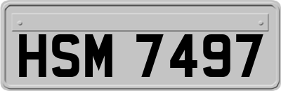 HSM7497