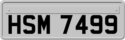 HSM7499
