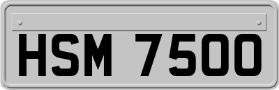 HSM7500