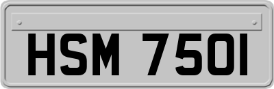 HSM7501