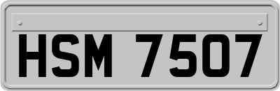 HSM7507