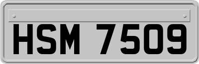 HSM7509