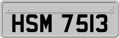 HSM7513