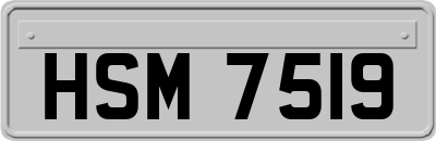 HSM7519