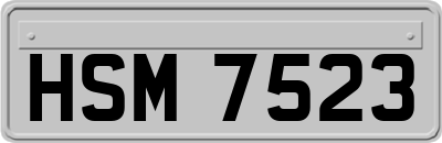 HSM7523