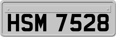 HSM7528