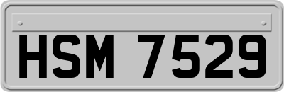 HSM7529