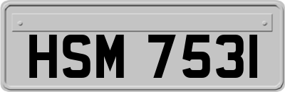 HSM7531