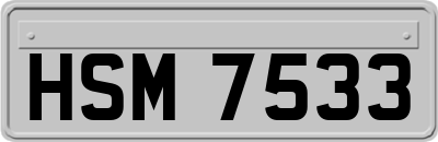 HSM7533