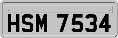 HSM7534