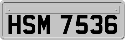 HSM7536