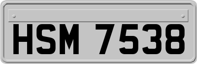 HSM7538