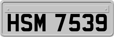 HSM7539