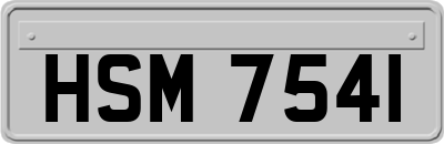 HSM7541