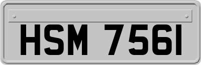 HSM7561