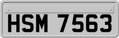 HSM7563