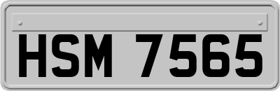 HSM7565