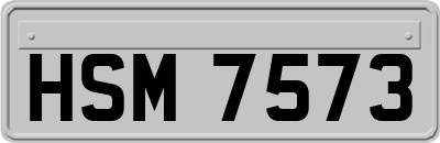 HSM7573