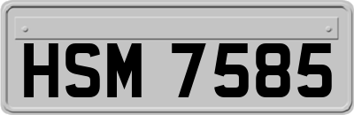 HSM7585