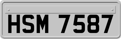 HSM7587
