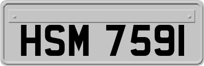 HSM7591