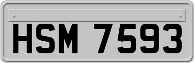 HSM7593