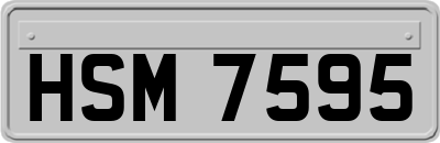 HSM7595