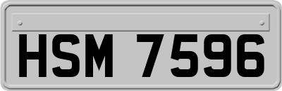 HSM7596