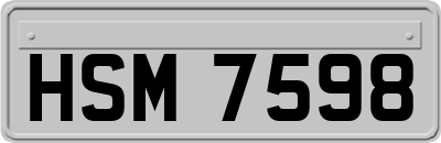HSM7598