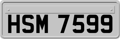 HSM7599
