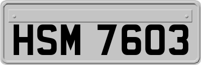 HSM7603