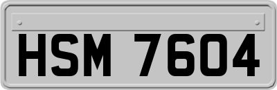 HSM7604