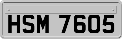HSM7605