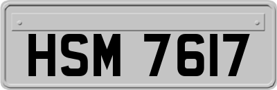 HSM7617