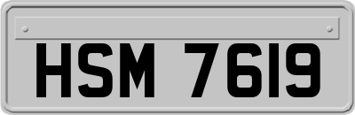 HSM7619
