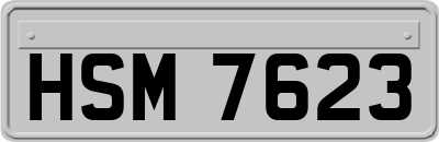 HSM7623