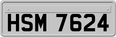 HSM7624