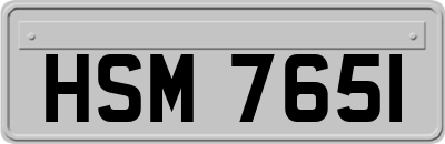 HSM7651