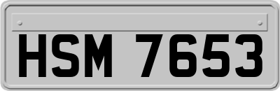 HSM7653
