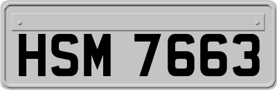 HSM7663