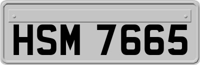 HSM7665