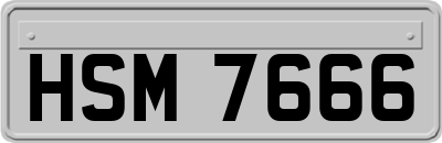 HSM7666