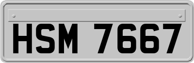 HSM7667