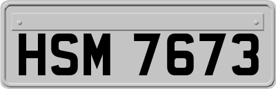 HSM7673