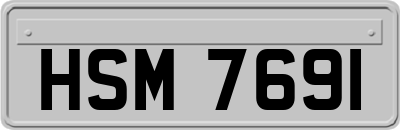 HSM7691
